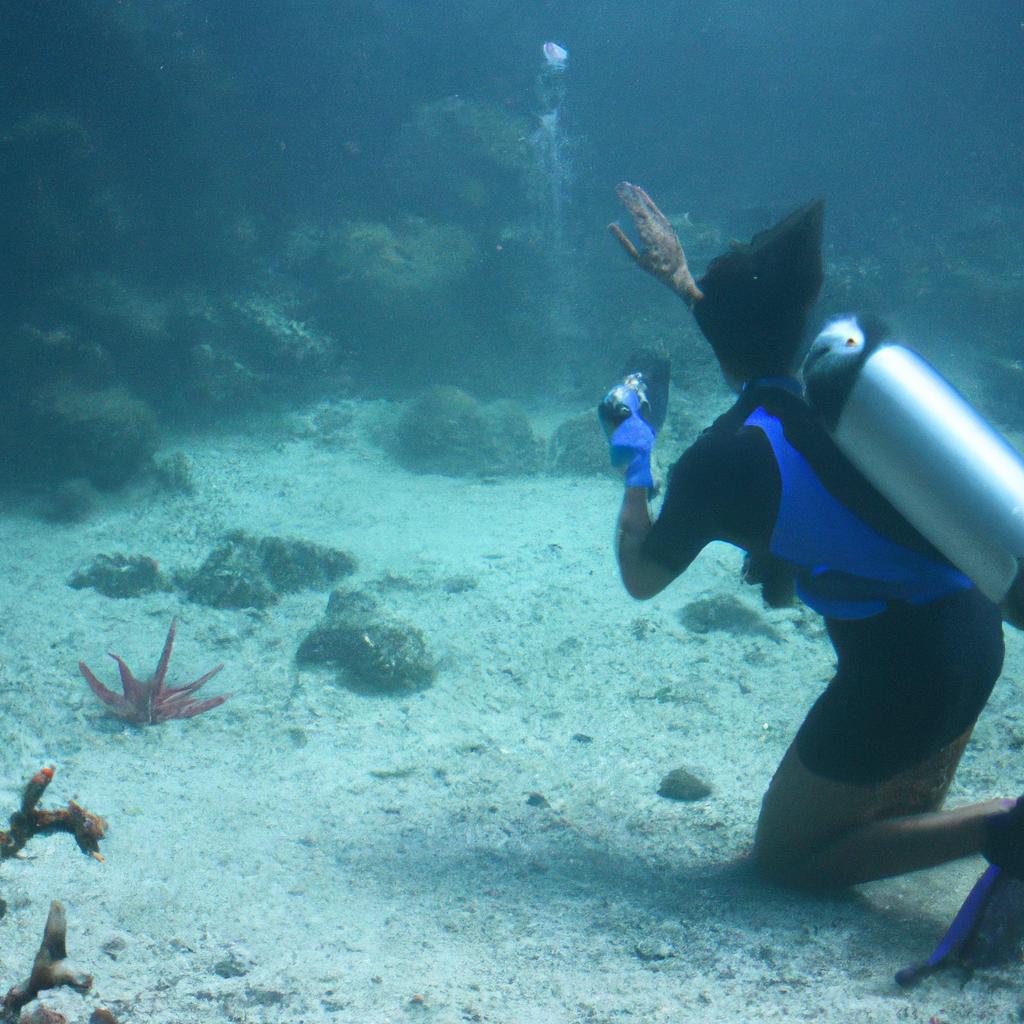 Person identifying marine life underwater